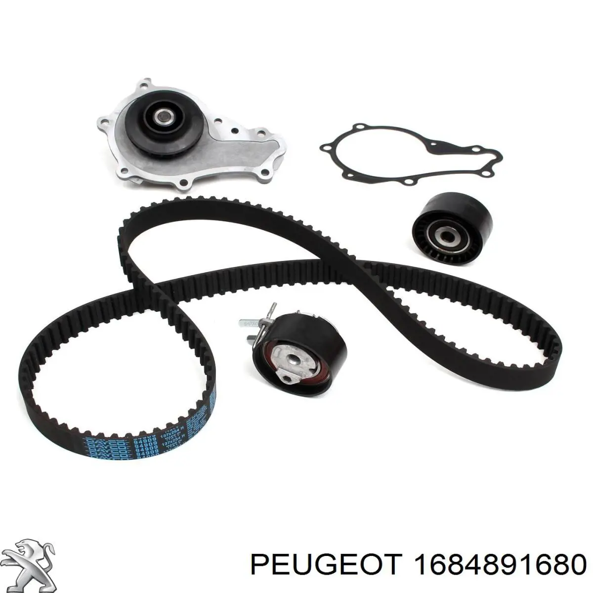 E:TIMING KIT + COOLANT PUMP